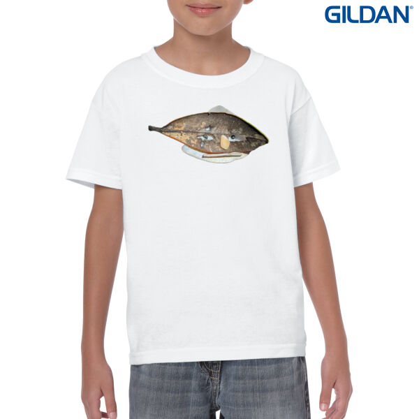 Shell Face - Kids Thumbnail