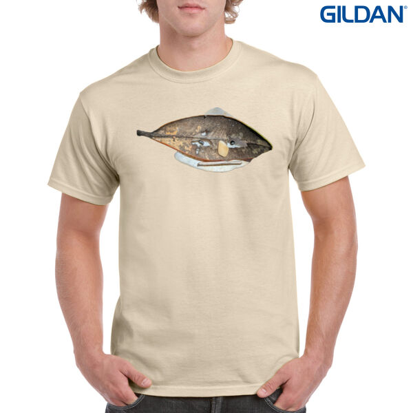 Shell Face - Mens / Unisex Thumbnail